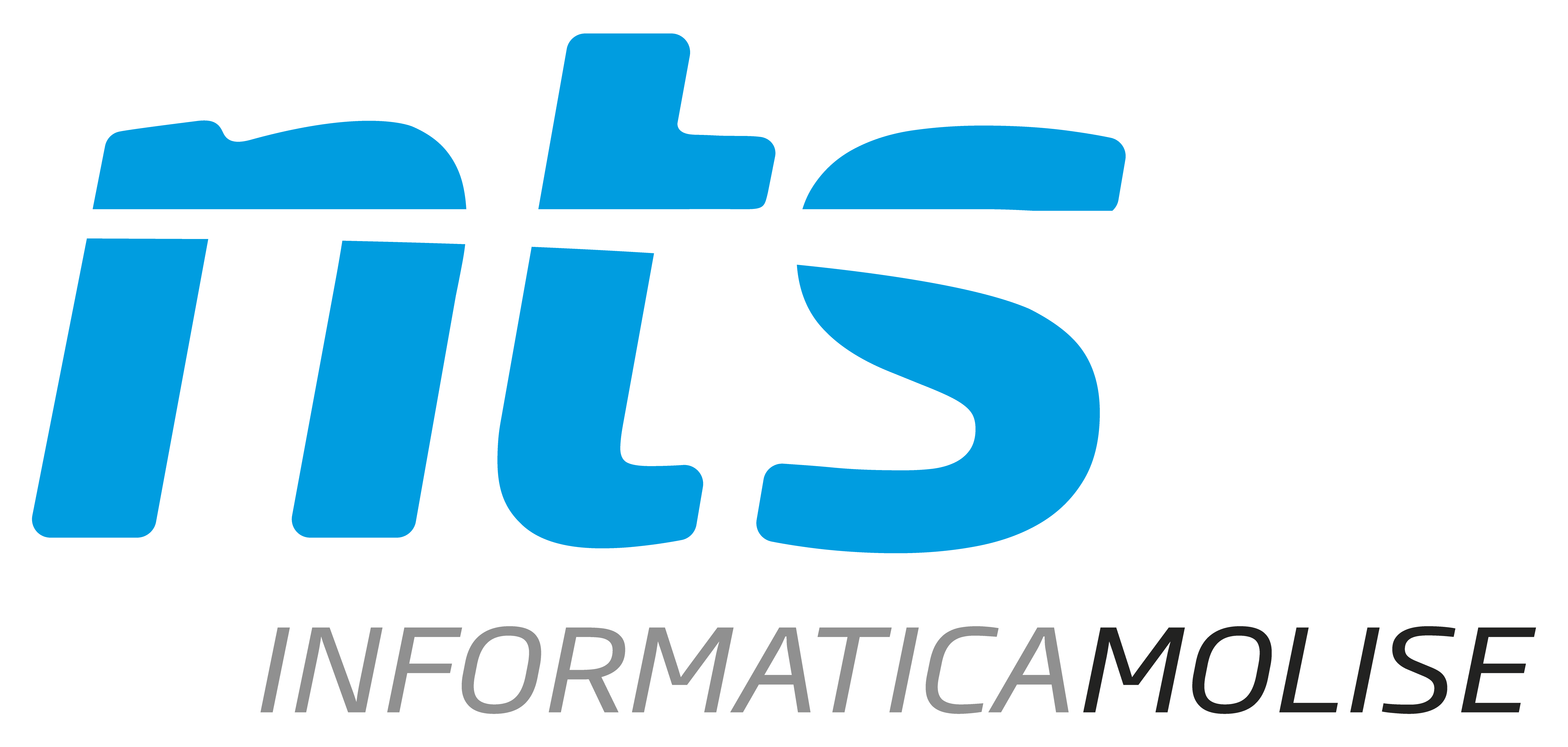 logo nts informatica molise